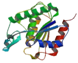 Lysophospholipase II (LYPLA2)