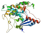 Lysosomal Trafficking Regulator (LYST)