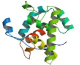 Lysozyme G Like Protein 1 (LYG1)