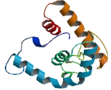 Lysozyme G Like Protein 2 (LYG2)