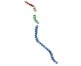 M-Phase Phosphoprotein 10 (MPHOSPH10)