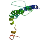 M-Phase Phosphoprotein 6 (MPHOSPH6)