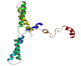 M-Phase Phosphoprotein 9 (MPHOSPH9)