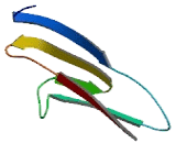 MAM Domain Containing Glycosylphosphatidylinositol Anchor 1 (MDGA1)