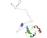 MANSC Domain Containing Protein 1 (MANSC1)