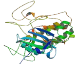 MAP Kinase Interacting Serine/Threonine Kinase 1 (MKNK1)