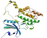 MAP Kinase Interacting Serine/Threonine Kinase 2 (MKNK2)