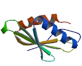 MAP/Microtubule Affinity Regulating Kinase 3 (MARK3)