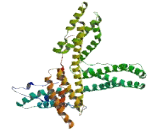 MAP7 Domain Containing Protein 1 (MAP7D1)