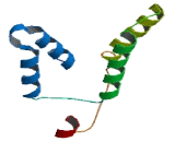 MAP7 Domain Containing Protein 3 (MAP7D3)