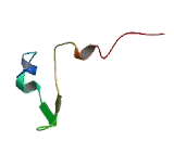 MAS1 Oncogene Like Protein (MAS1L)