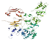 MCF2 Cell Line Derived Transforming Sequence Like Protein (MCF2L)