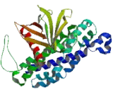 MCF2 Cell Line Derived Transforming Sequence Like Protein 2 (MCF2L2)