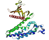 MCF2 Cell Line Derived Transforming Sequence Protein (MCF2)