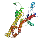 MICAL C-Terminal Like Protein (MICALCL)