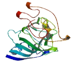 MIND Kinetochore Complex Component Homolog (NSL1)