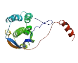 MIS12, MIND Kinetochore Complex Component Homolog (MIS12)