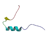 MKI67 FHA Domain Interacting Nucleolar Phosphoprotein (MKI67IP)