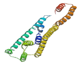 MLF1 Interacting Protein (MLF1IP)