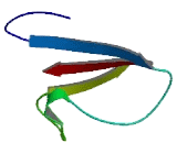 Mitochondrial Translocator Assembly And Maintenance Protein 41 Homolog (TAMM41)