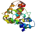 MMS19 Nucleotide Excision Repair Homolog (MMS19)