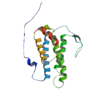 MOB Kinase Activator 2 (MOB2)