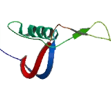 MOCO Sulphurase C-Terminal Domain Containing Protein 2 (MOSC2)