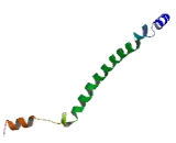 MORC Family CW-Type Zinc Finger Protein 2 (MORC2)