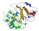 MPN Domain Containing Protein (MPND)