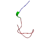 Mitochondrial Transcription Termination Factor 4 (MTERF4)