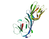 MU-2/AP1M2 Domain Containing, Death Inducing Protein (MUDENG)