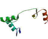 MYC Associated Zinc Finger Protein (MAZ)