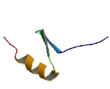 MYST Histone Acetyltransferase 3 (MYST3)