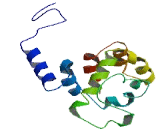 Mab21 Domain Containing Protein 1 (MB21D1)