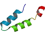 Mab21 Like Protein 1 (MAB21L1)