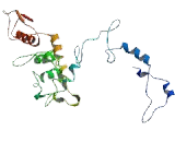 Macrophage Erythroblast Attacher (MAEA)