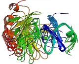 Macrophage Inflammatory Protein 1 Alpha (MIP1a)