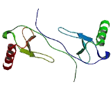 Macrophage Inflammatory Protein 1 Beta (MIP1b)