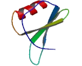 Chemokine (C-C motif) ligand 6 (CCL6)