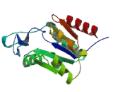 Magnesium Dependent Phosphatase 1 (MDP1)