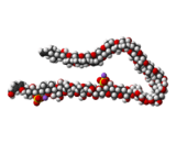 Maitotoxin (MTX)