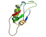 Major Facilitator Superfamily Domain Containing Protein 1 (MFSD1)