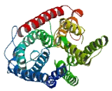 Major Facilitator Superfamily Domain Containing Protein 11 (MFSD11)