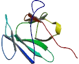 Major Facilitator Superfamily Domain Containing Protein 2B (MFSD2B)