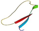 Major Facilitator Superfamily Domain Containing Protein 4 (MFSD4)