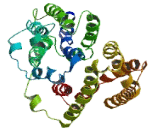 Major Facilitator Superfamily Domain Containing Protein 7 (MFSD7)