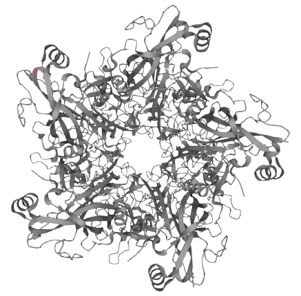 Major capsid protein L1, HPV18 (HPV16 L1)