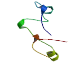 Makorin Ring Finger Protein 1 (MKRN1)