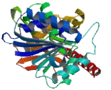 Malate Dehydrogenase 1B (MDH1B)