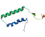 Male Specific Lethal 3 Homolog (MSL3)